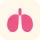 lung